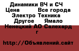 	 Динамики ВЧ и СЧ › Цена ­ 500 - Все города Электро-Техника » Другое   . Ямало-Ненецкий АО,Салехард г.
